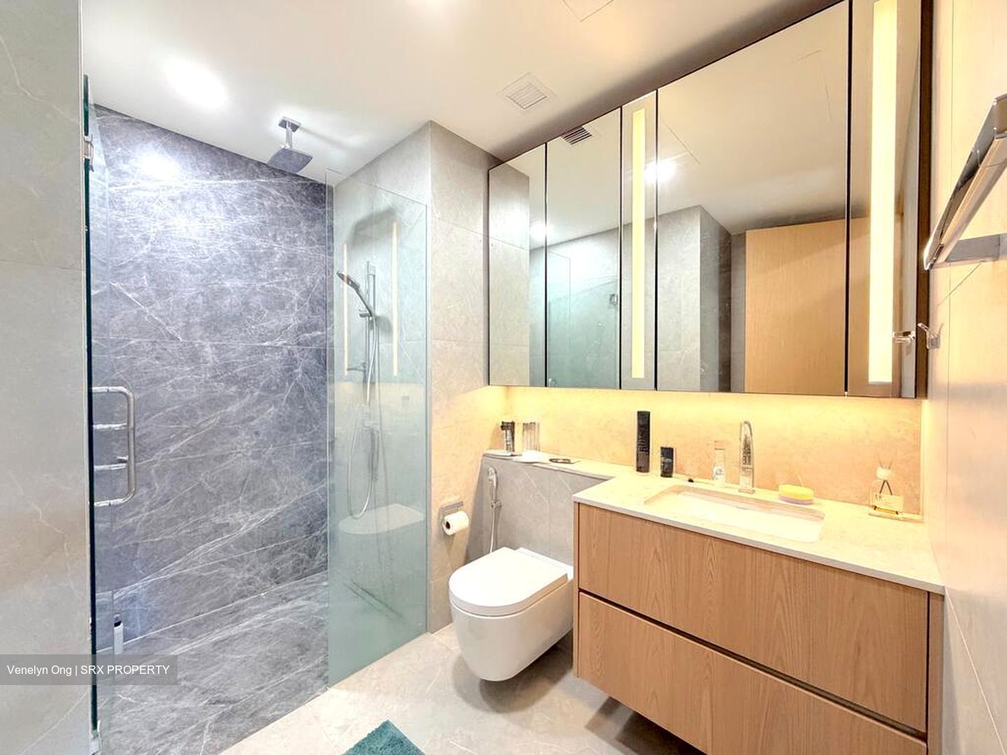 Peak Residence (D11), Condominium #526108781